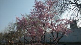 校園風(fēng)光12