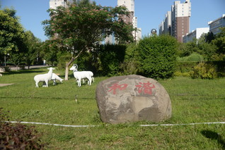 校園風(fēng)光8