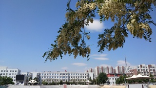 校園風(fēng)光13
