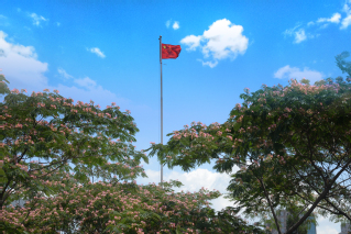 校園風(fēng)光23